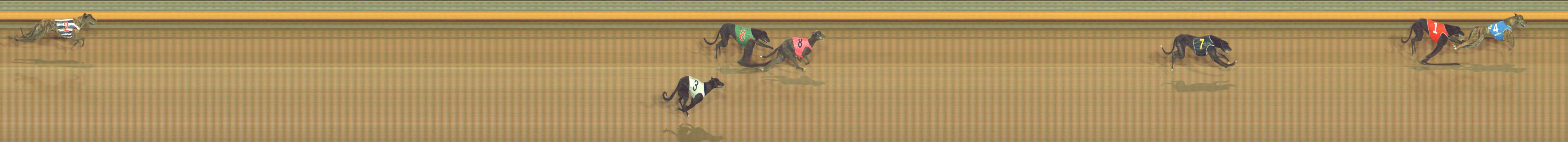 Photo finish for Bendigo Race 1