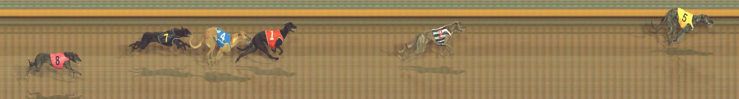 Photo finish for Bendigo Race 2