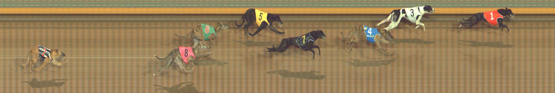 Photo finish for Bendigo Race 4