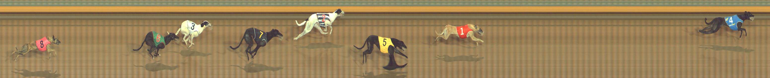 Photo finish for Bendigo Race 5