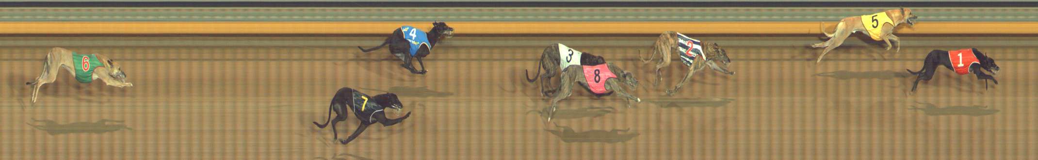 Photo finish for Bendigo Race 7
