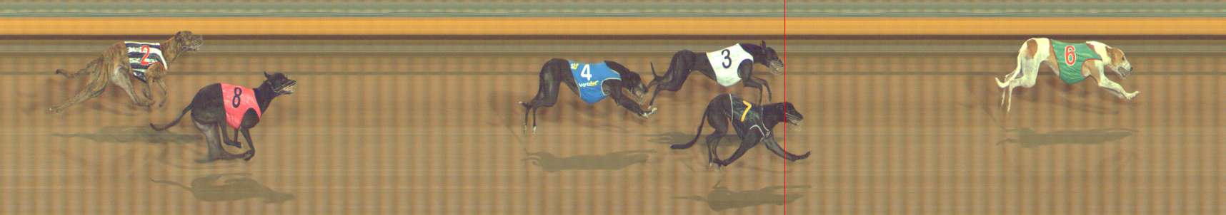 Photo finish for Bendigo Race 8