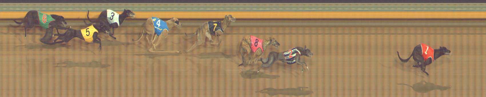 Photo finish for Bendigo Race 9