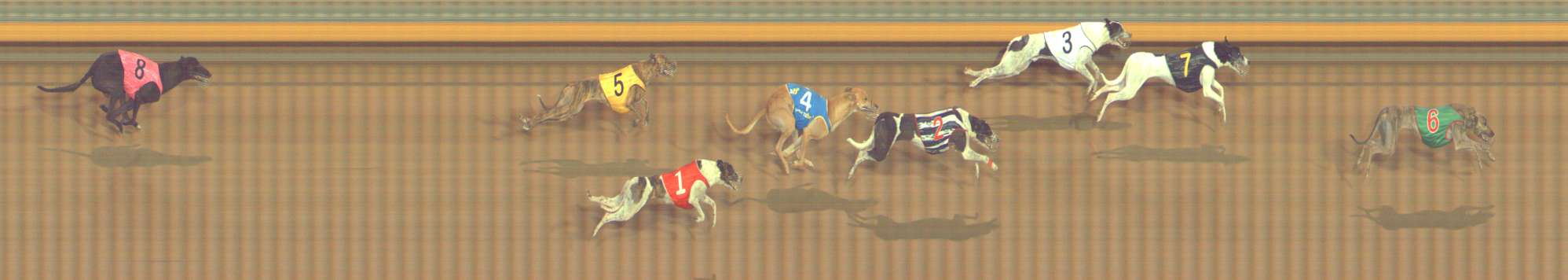Photo finish for Bendigo Race 11