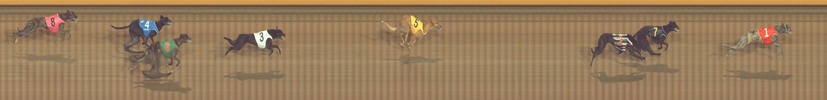 Photo finish for Bendigo Race 12