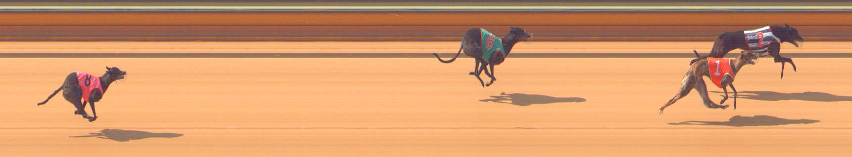 Photo finish for Bendigo Race 1