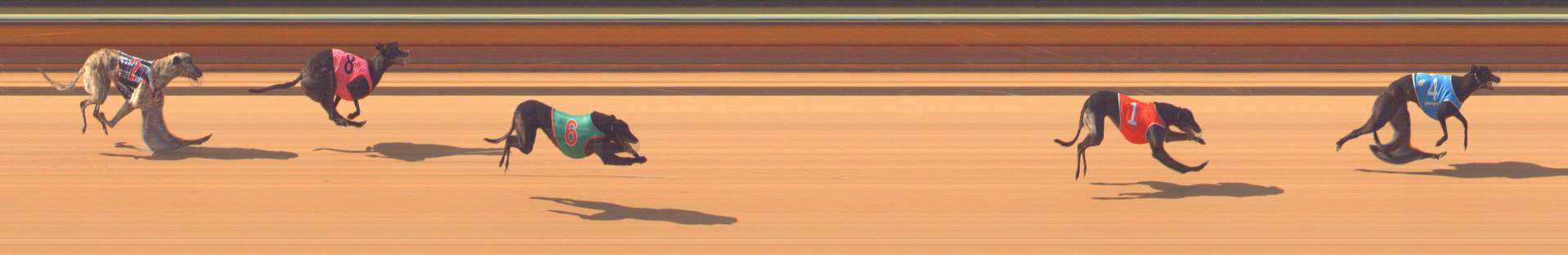 Photo finish for Bendigo Race 2