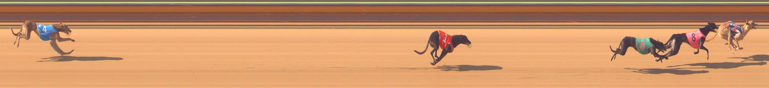 Photo finish for Bendigo Race 3