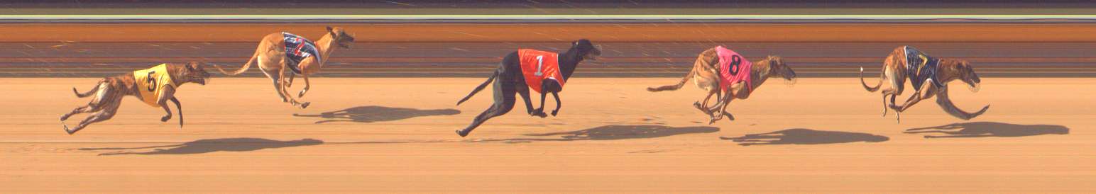 Photo finish for Bendigo Race 4