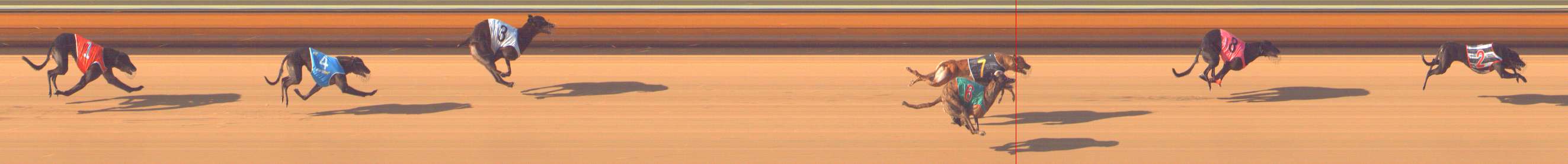 Photo finish for Bendigo Race 5