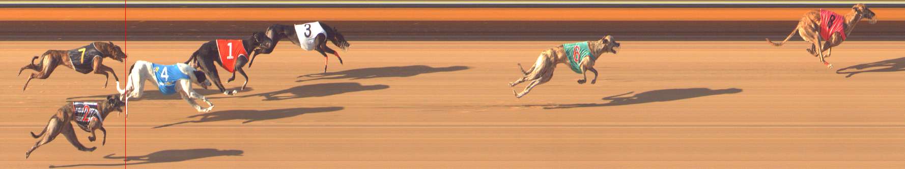 Photo finish for Bendigo Race 6