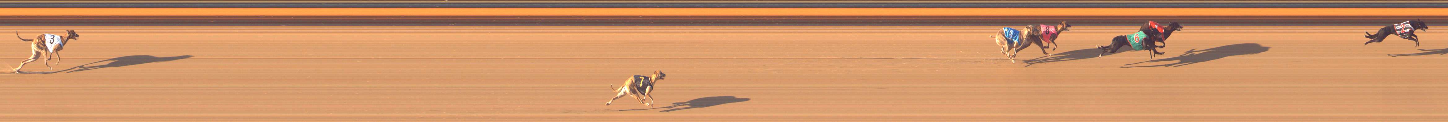Photo finish for Bendigo Race 7