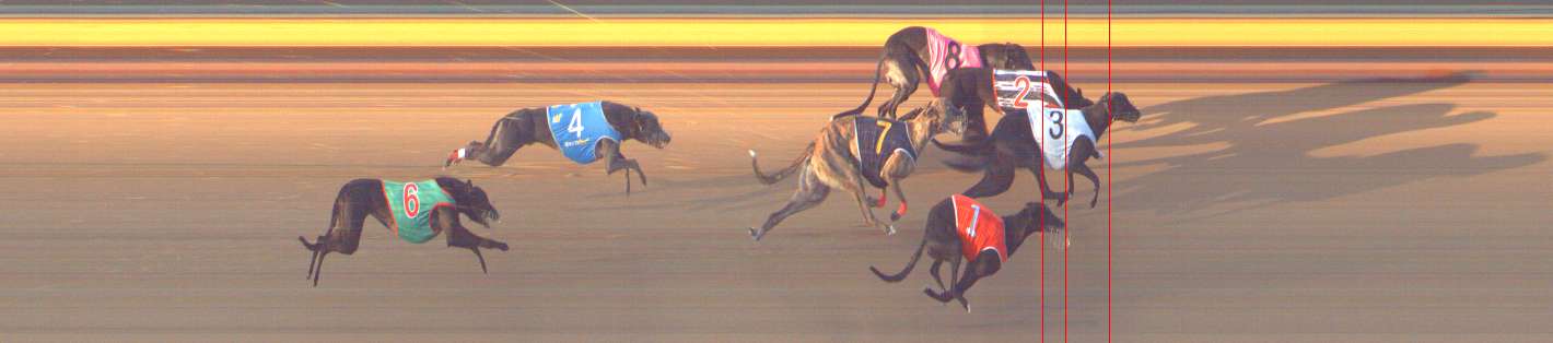 Photo finish for Bendigo Race 8