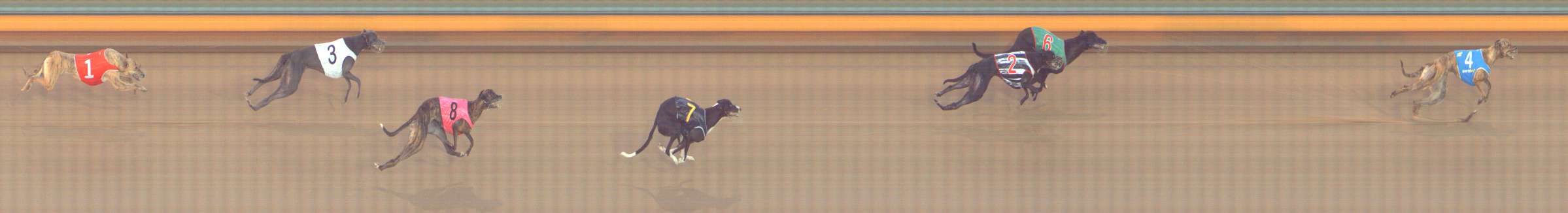 Photo finish for Bendigo Race 10