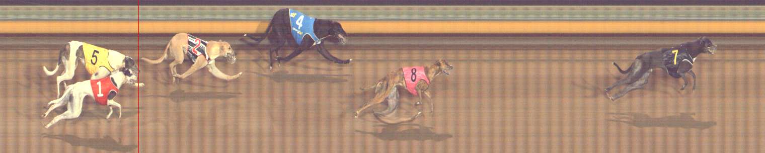Photo finish for Bendigo Race 12