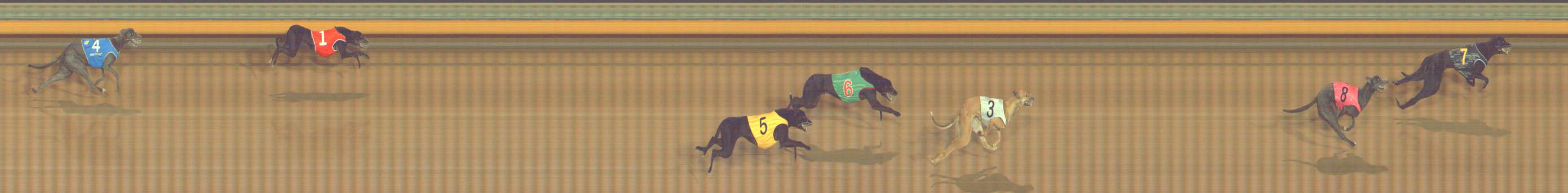 Photo finish for Bendigo Race 1