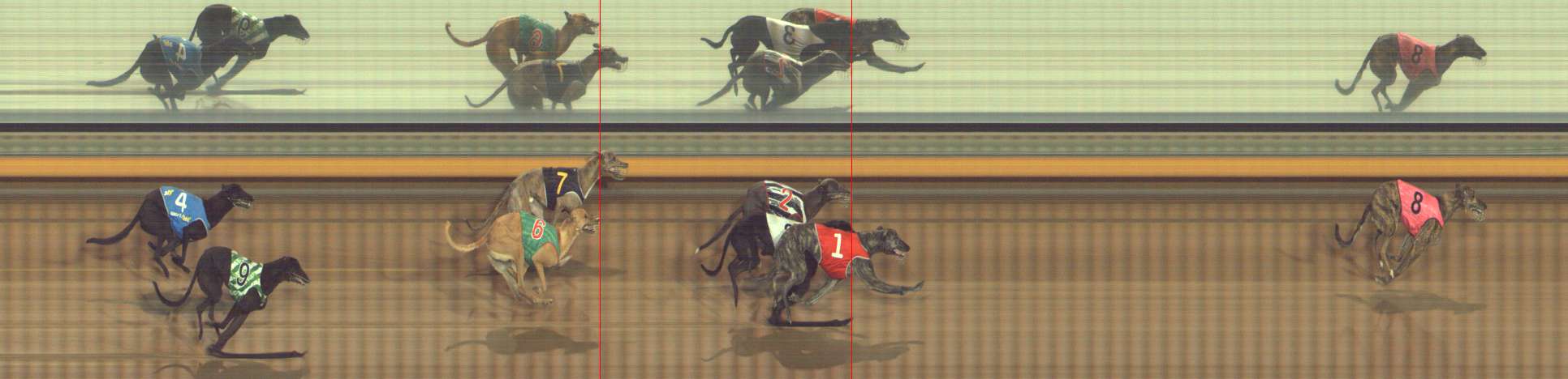 Photo finish for Bendigo Race 2