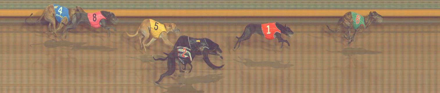 Photo finish for Bendigo Race 3