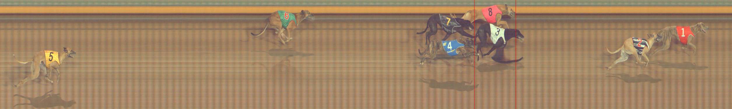 Photo finish for Bendigo Race 5