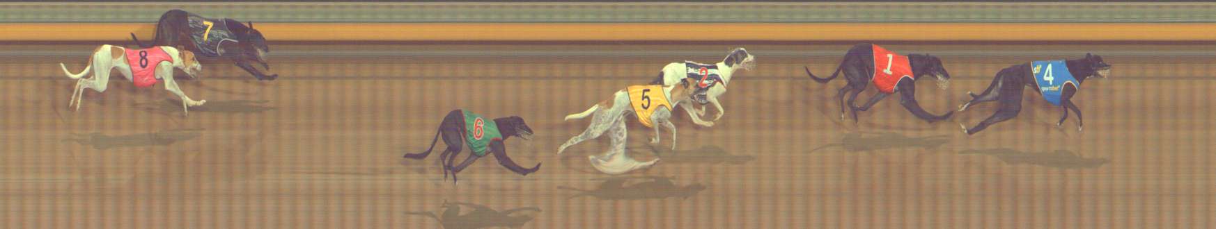 Photo finish for Bendigo Race 6