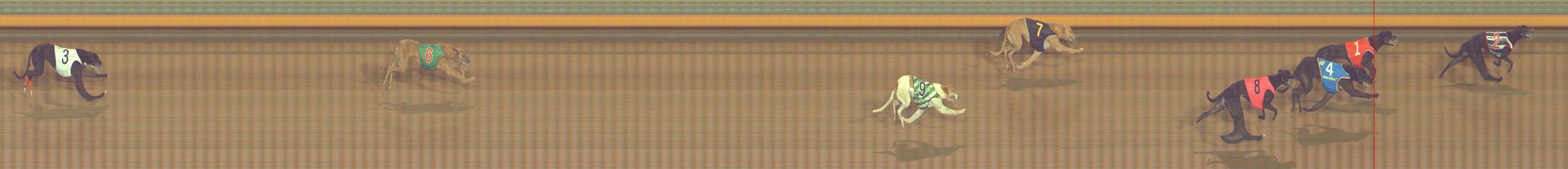 Photo finish for Bendigo Race 9