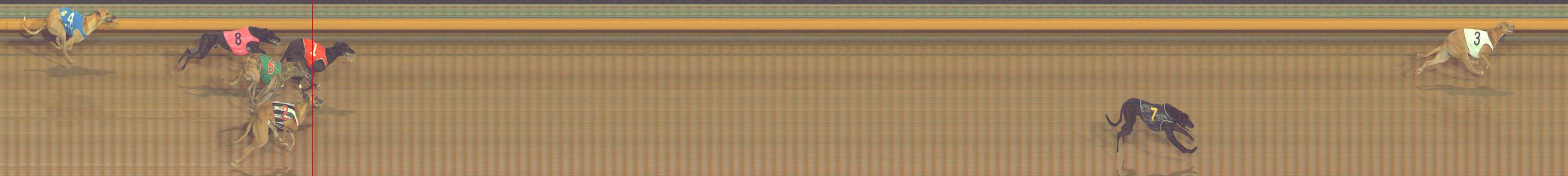 Photo finish for Bendigo Race 10