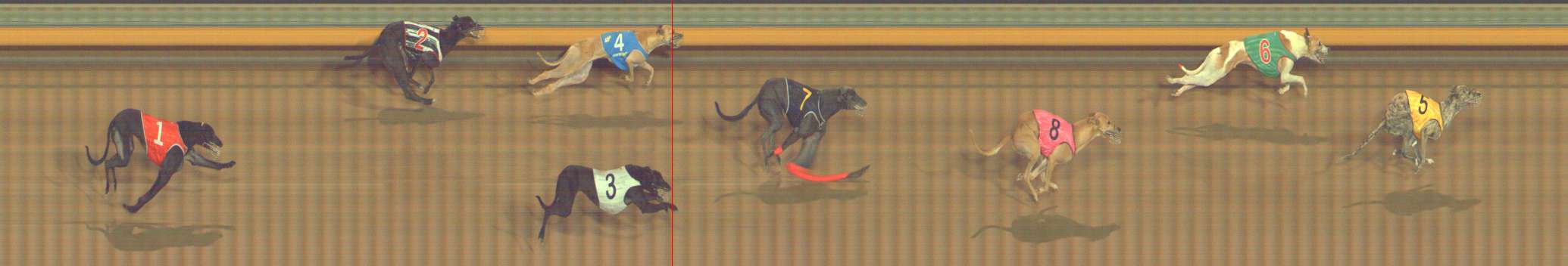 Photo finish for Bendigo Race 12