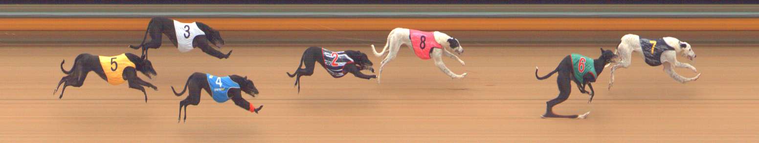 Photo finish for Bendigo Race 3