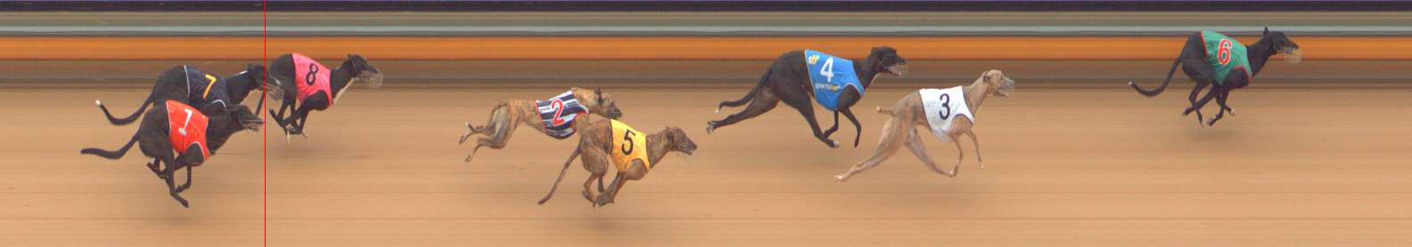 Photo finish for Bendigo Race 4