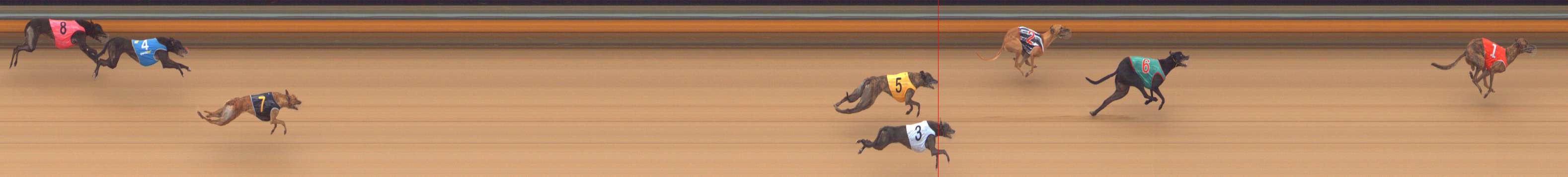 Photo finish for Bendigo Race 5