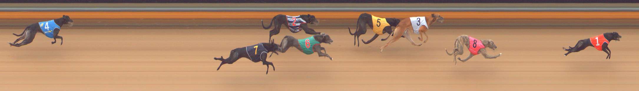 Photo finish for Bendigo Race 6