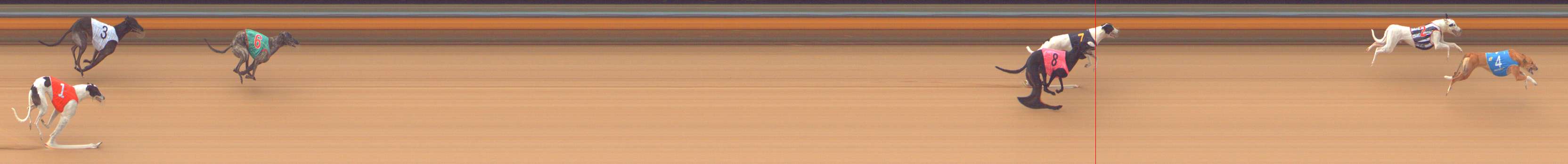 Photo finish for Bendigo Race 7