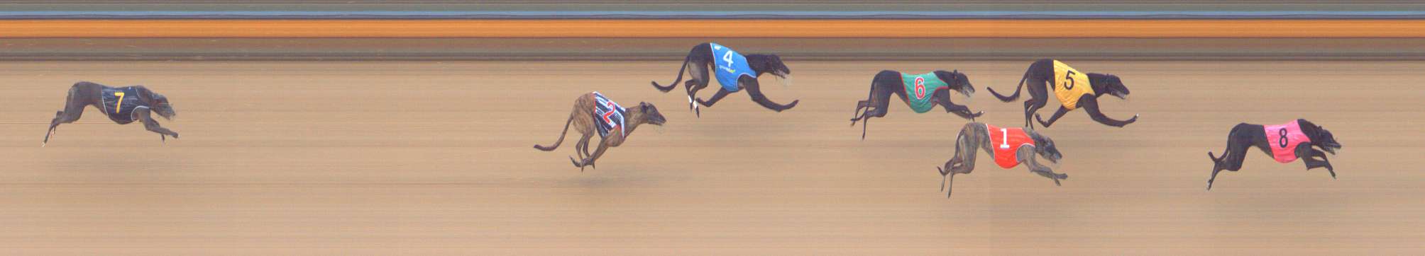 Photo finish for Bendigo Race 8