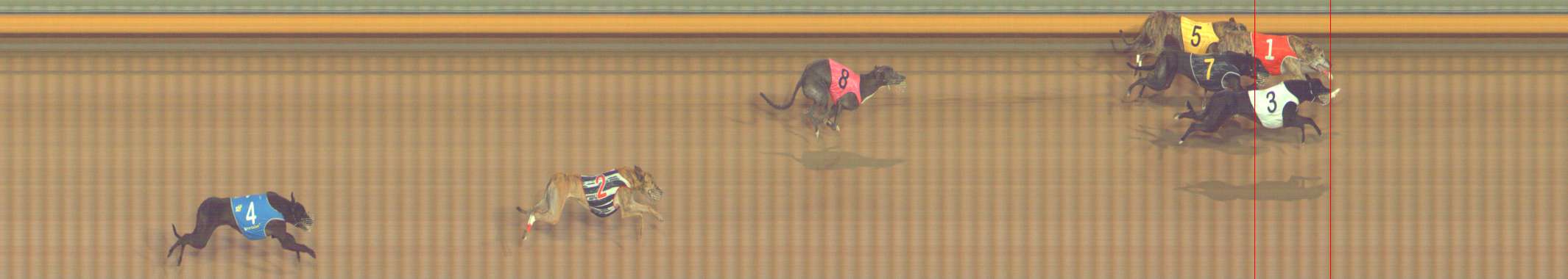 Photo finish for Bendigo Race 12