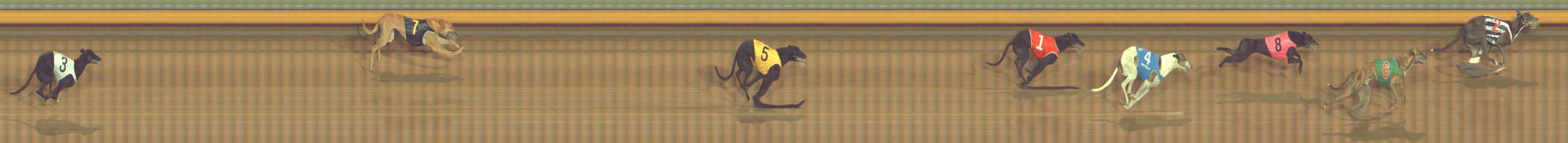 Photo finish for Bendigo Race 13