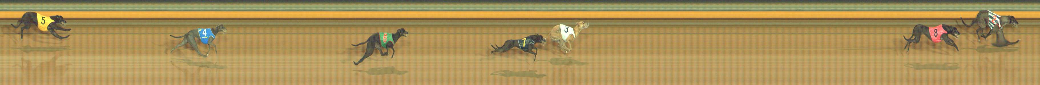Photo finish for Bendigo Race 1
