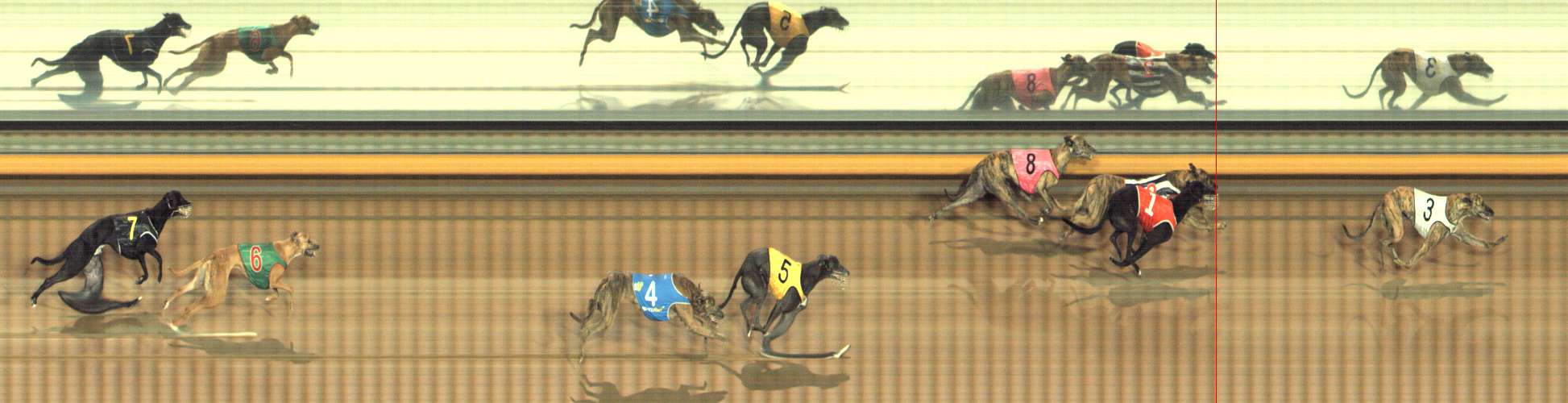 Photo finish for Bendigo Race 3