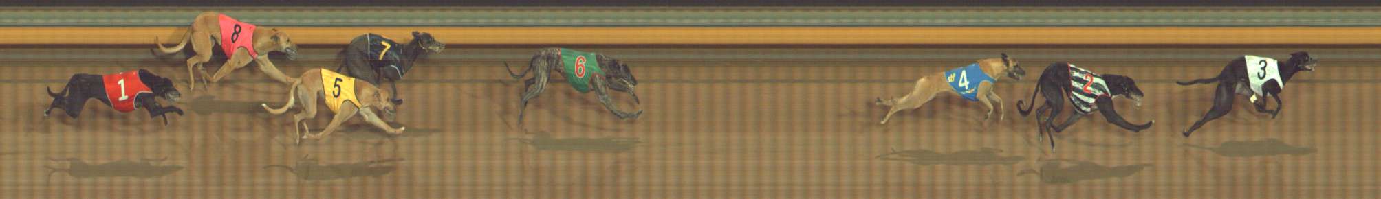 Photo finish for Bendigo Race 5