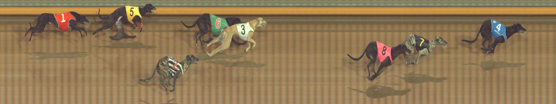 Photo finish for Bendigo Race 7