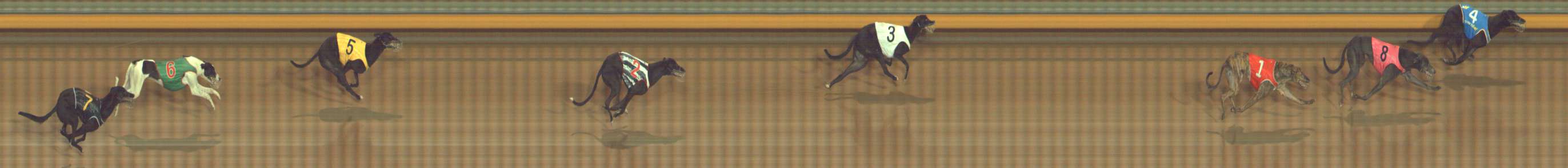 Photo finish for Bendigo Race 8