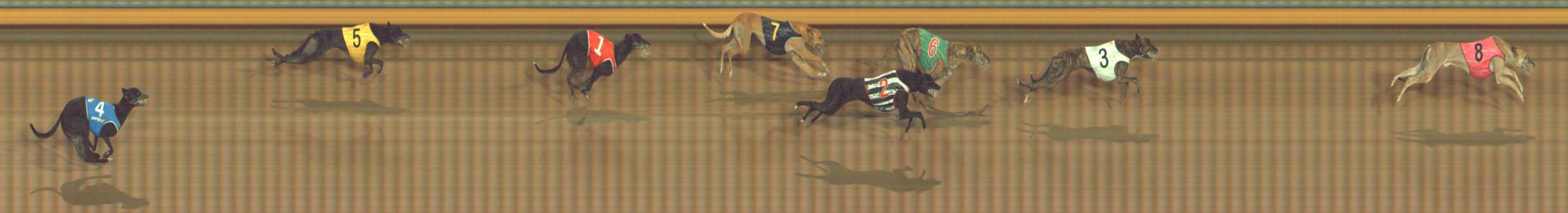 Photo finish for Bendigo Race 11