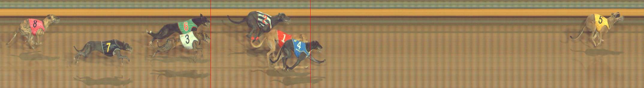 Photo finish for Bendigo Race 12