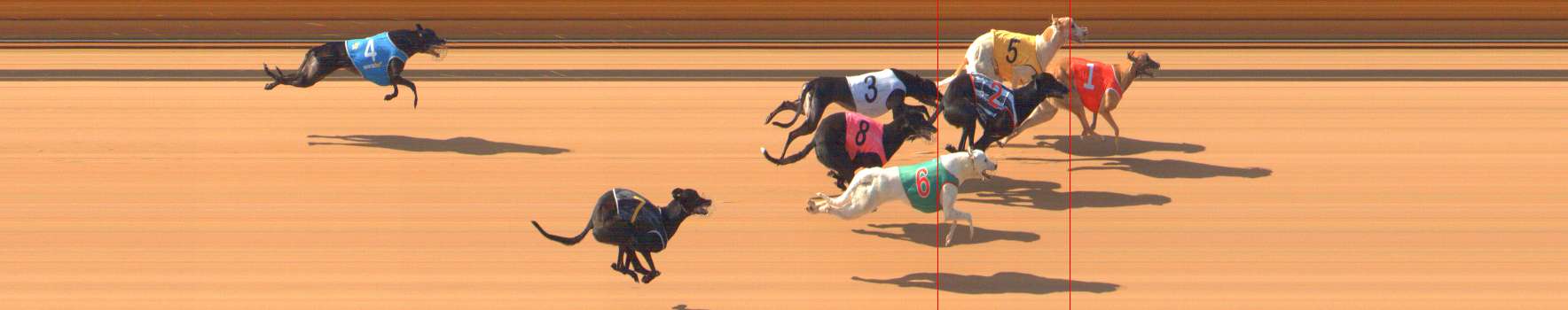 Photo finish for Bendigo Race 1