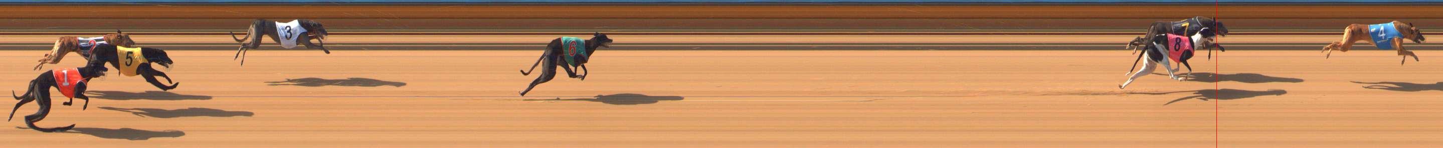 Photo finish for Bendigo Race 2