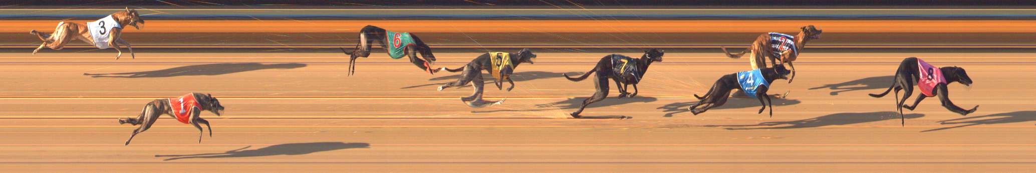 Photo finish for Bendigo Race 6