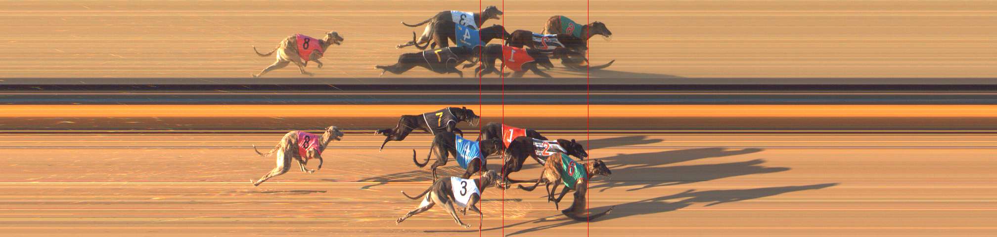 Photo finish for Bendigo Race 7