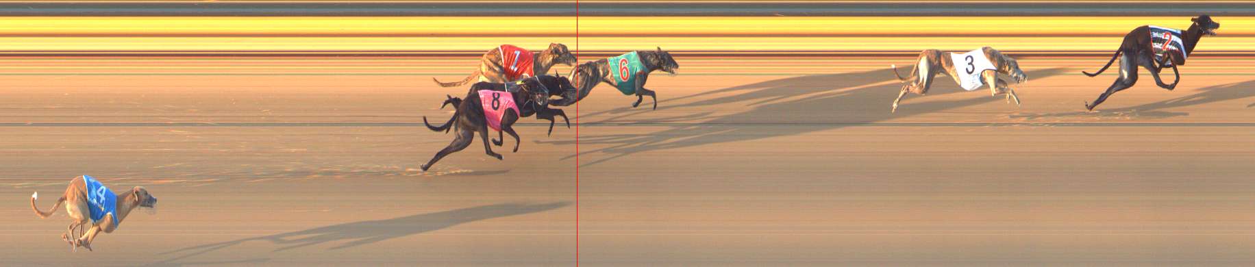 Photo finish for Bendigo Race 8