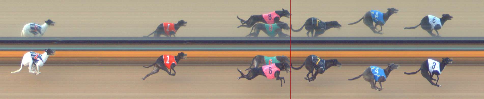 Photo finish for Bendigo Race 9