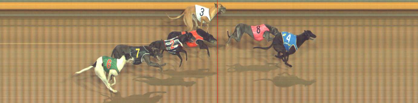 Photo finish for Bendigo Race 11