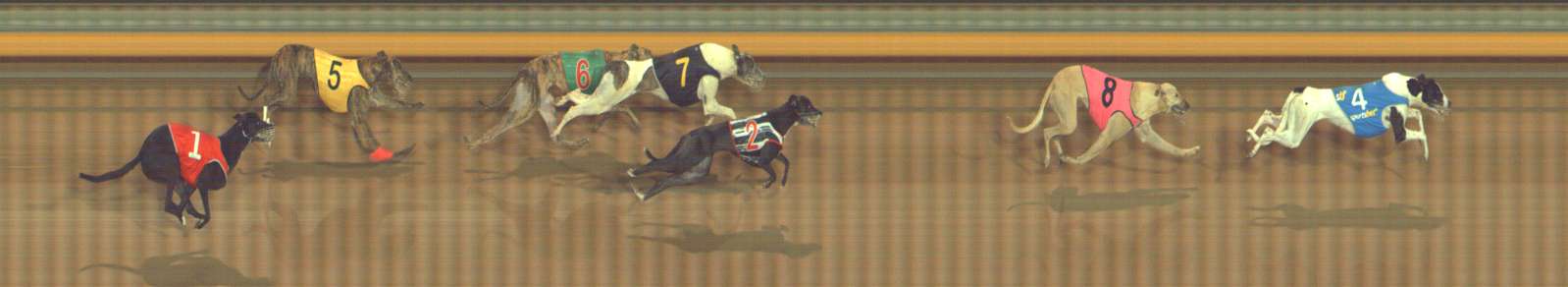Photo finish for Bendigo Race 12